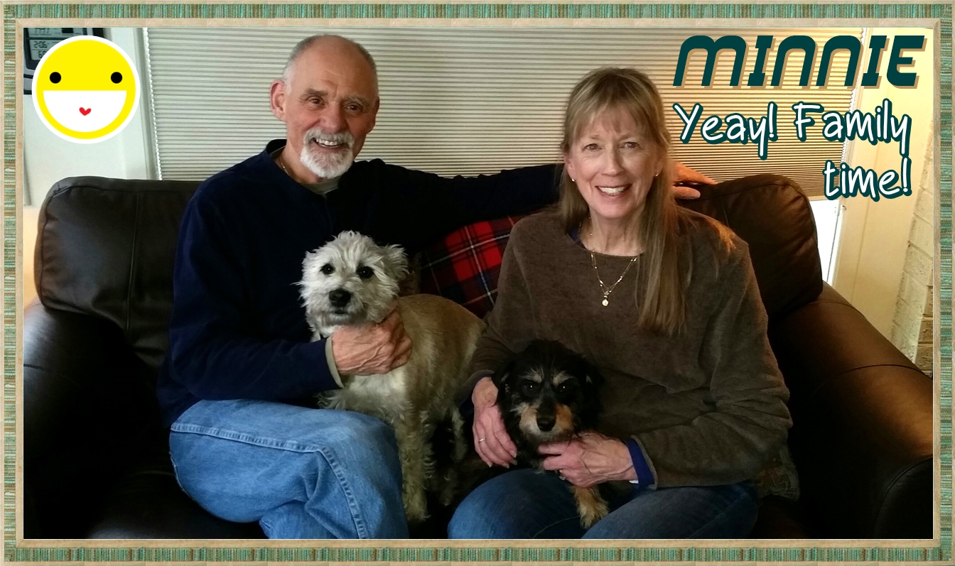 Minnie (Terrier) Adopted
