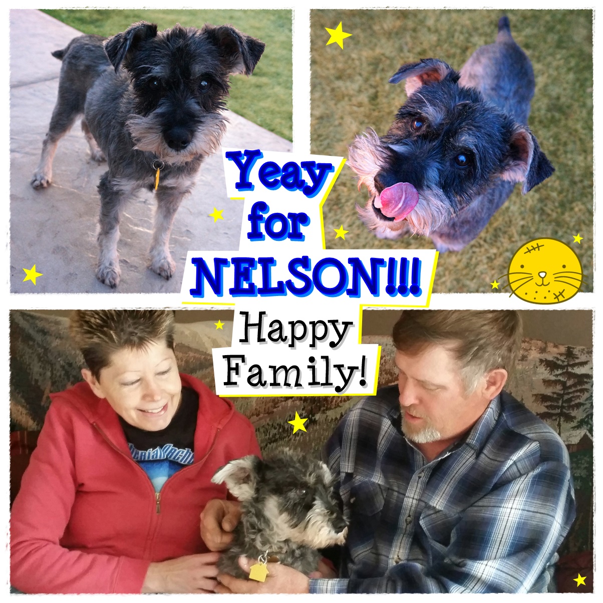 Nelson (Schnauzer) Adopted