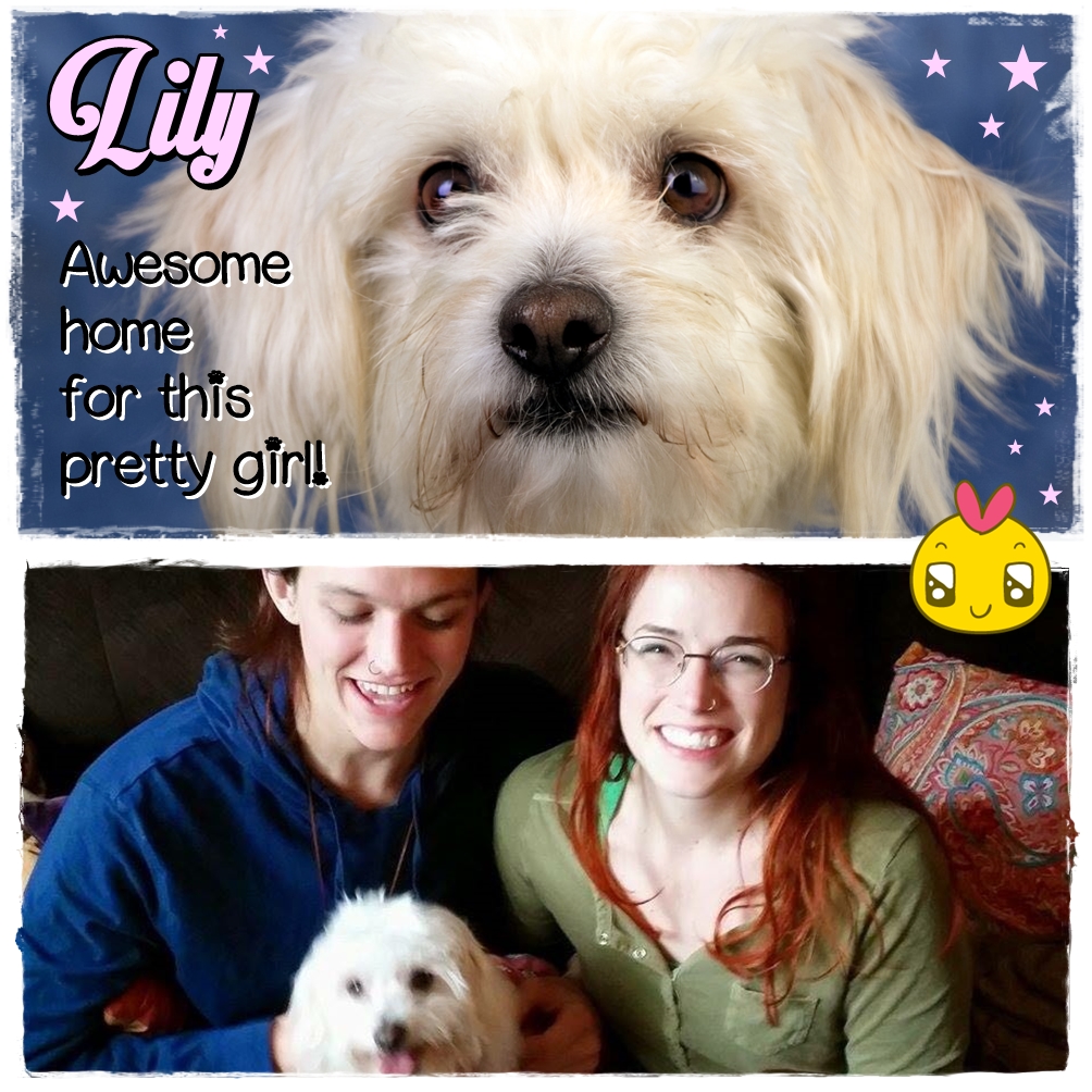 Lily (Adopted Doggy)