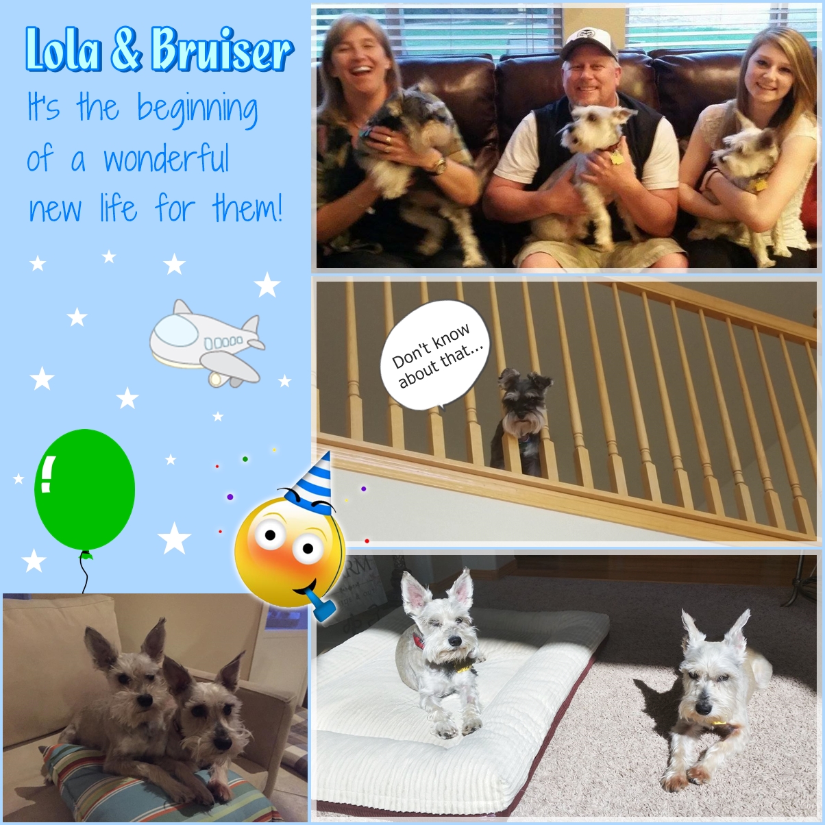Lola & Bruiser (Adopted!)