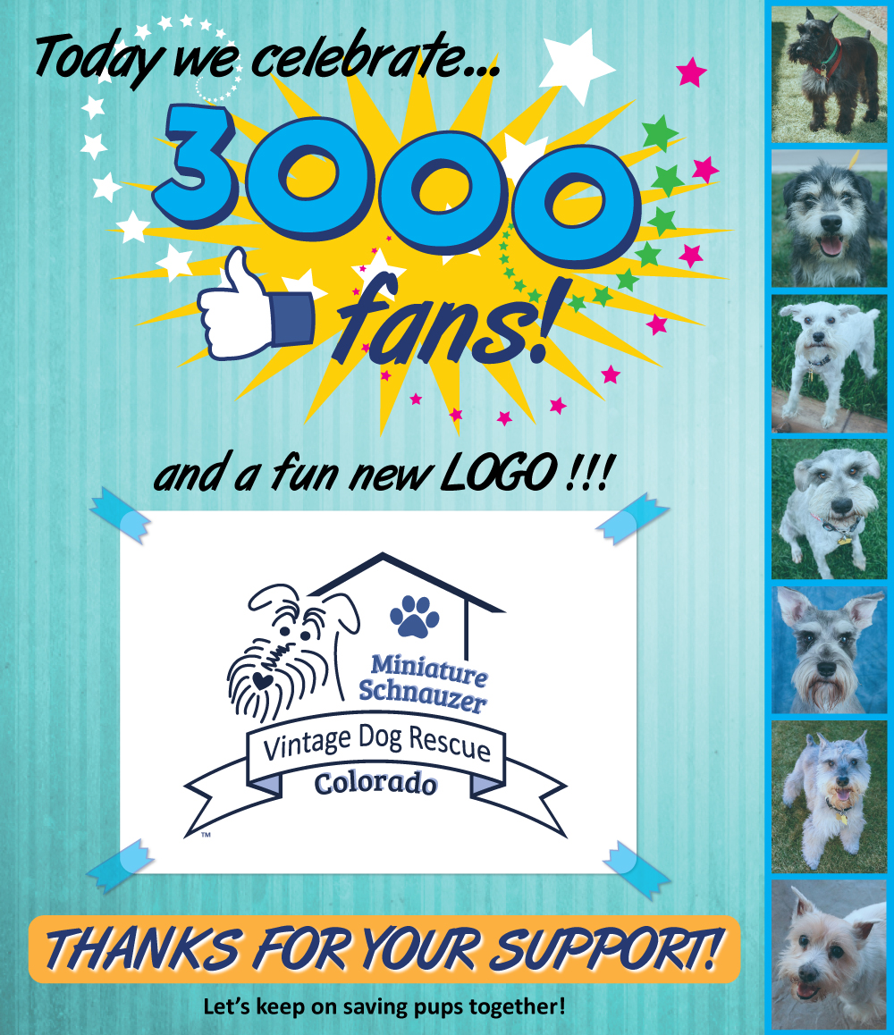 3000-fans-logo-celebration