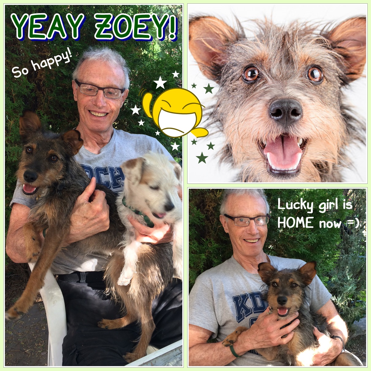 Zoey (Terrier Mix adopted)