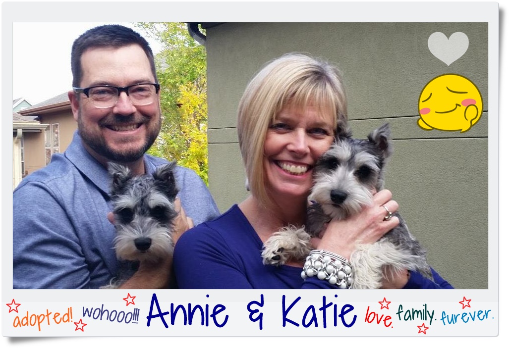Annie & Katie (Mini Schnauzers) adopted