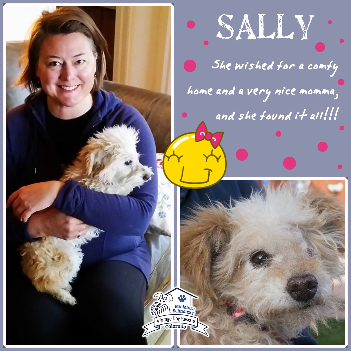 Sally (Terrier Mix) Adopted