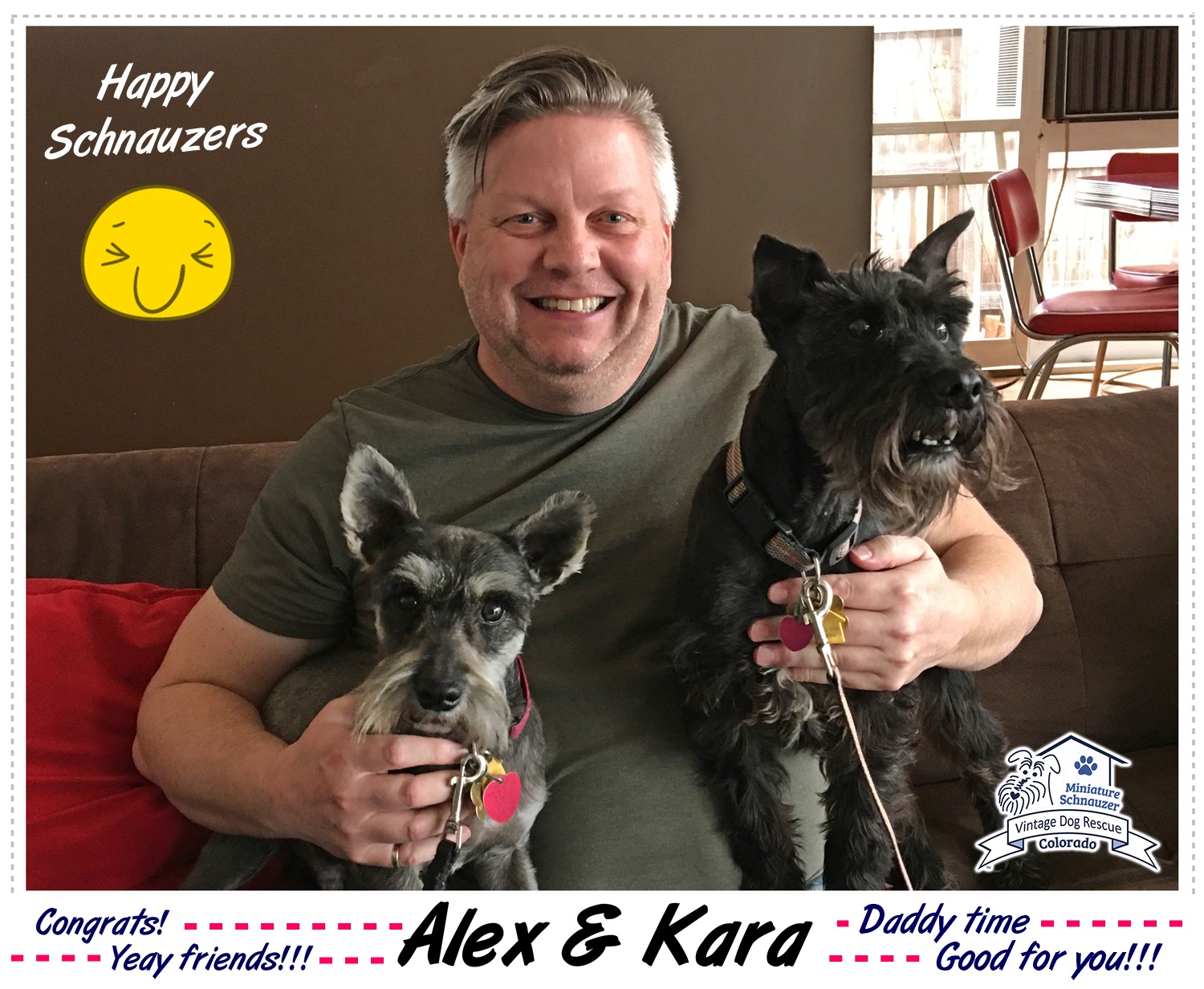 Alex & Kara (Mini Schnauzers) adopted