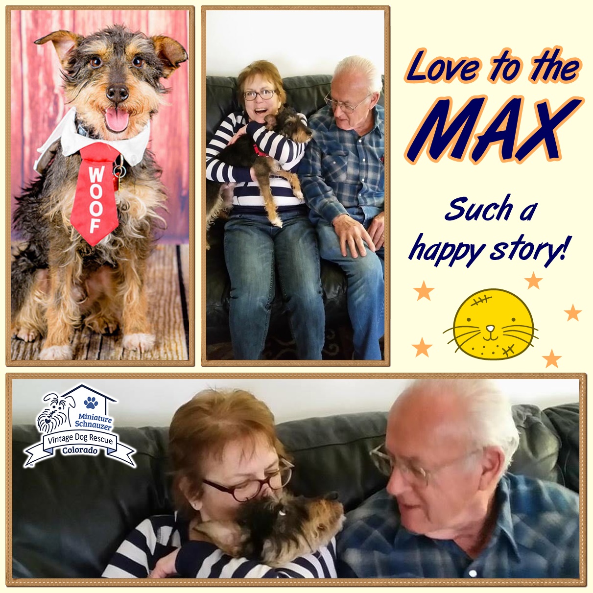 Max (Terrier Mix) Adopted