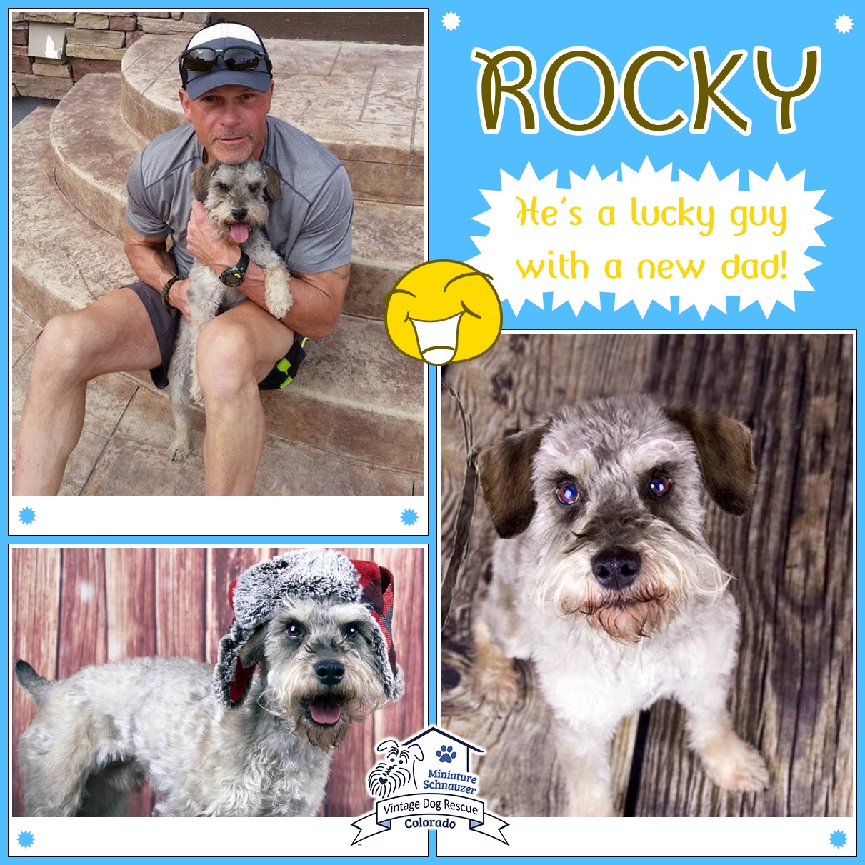 Rocky (Schnauzer / Terrier Mix adopted)