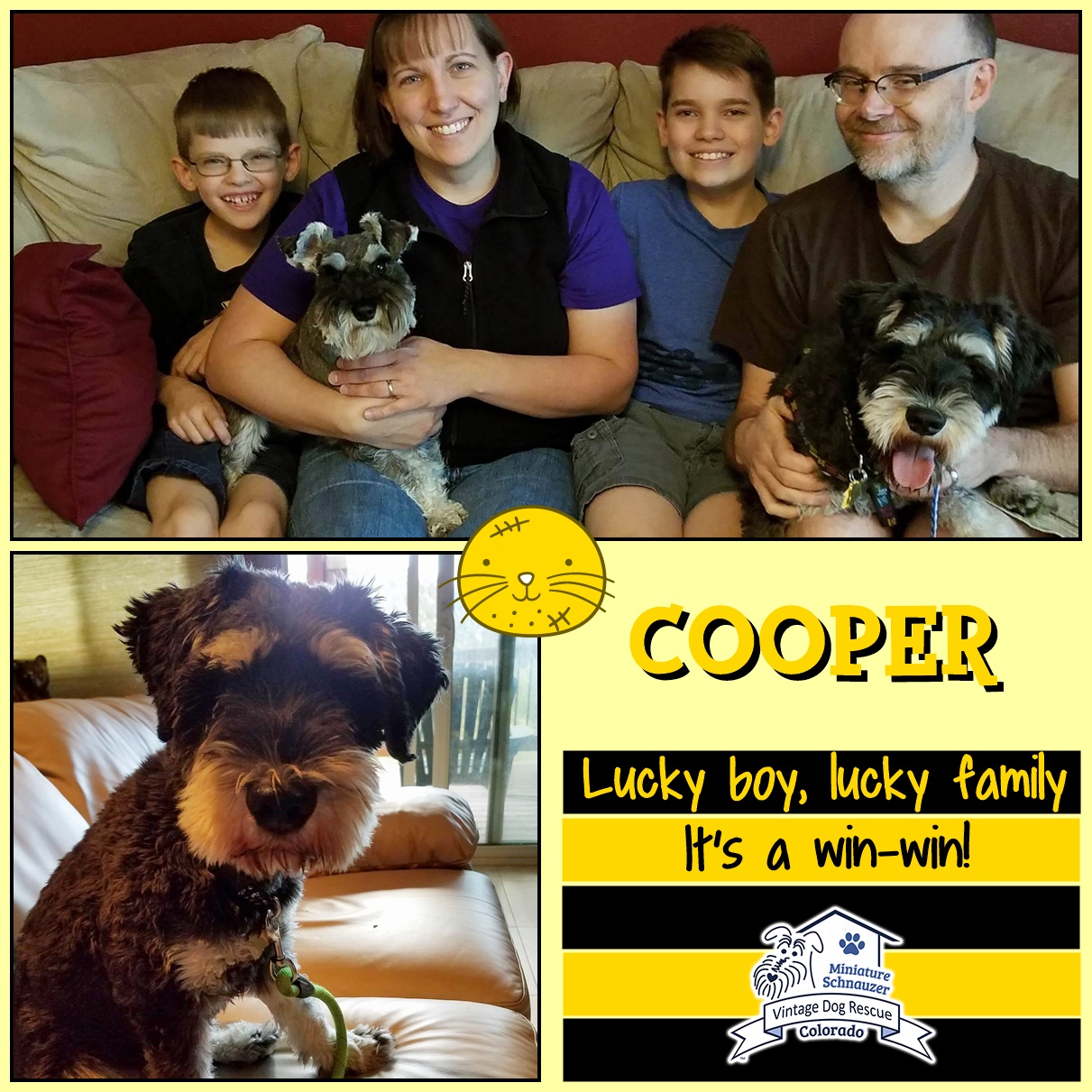 Cooper (Mini Schnauzer adopted)