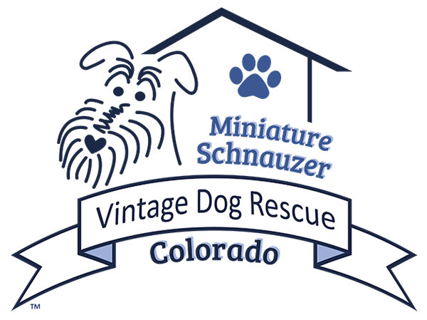 Colorado Mini Schnauzer Rescue