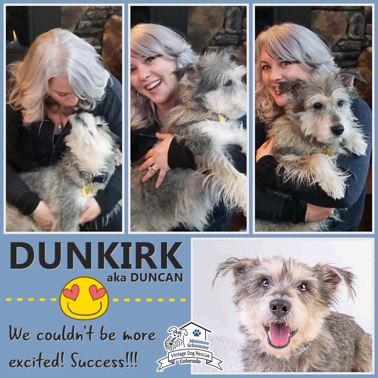 Dunkirk (Mini Schnauzer Mix) adopted