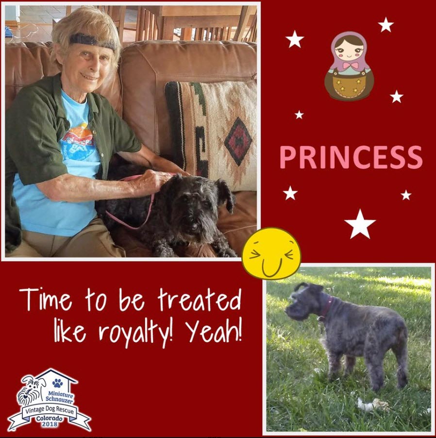 Princess Mini Adopted