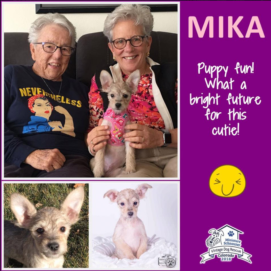 Mika Vintage adopted